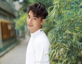 娱乐圈吃瓜酱爱情是什么,甜蜜与现实的交织